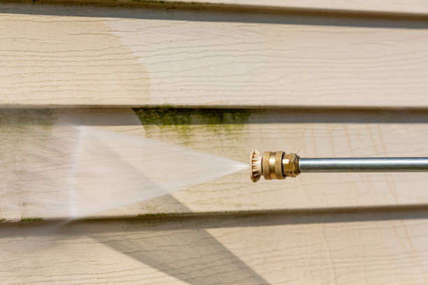 Best Roof Pressure Washing  in Frankfort, KY